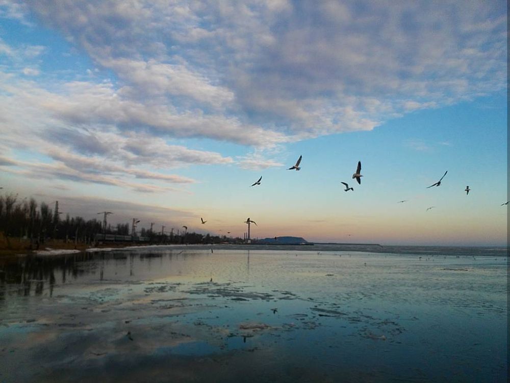 Наш Мариуполь !