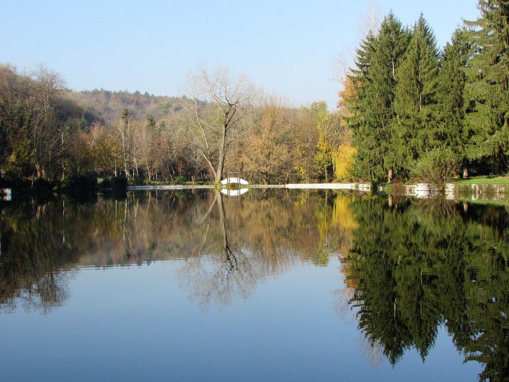Harmonie symétrique dans le lac