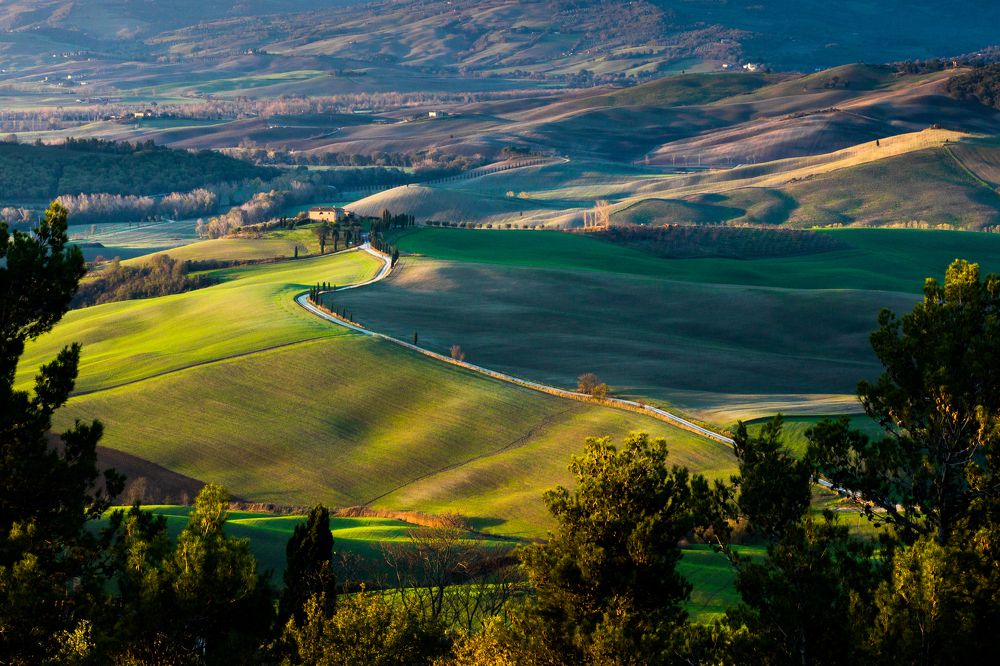Les collines au tour de Pienza