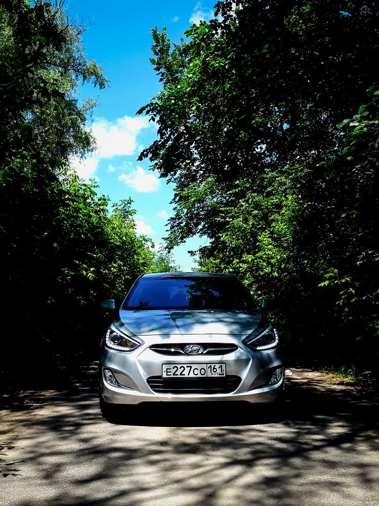 Затаившийся зверь