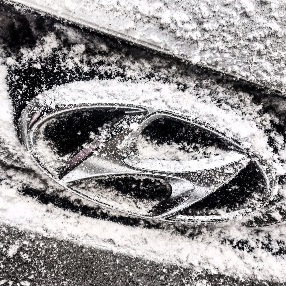 Photograph by Karina Sapfir