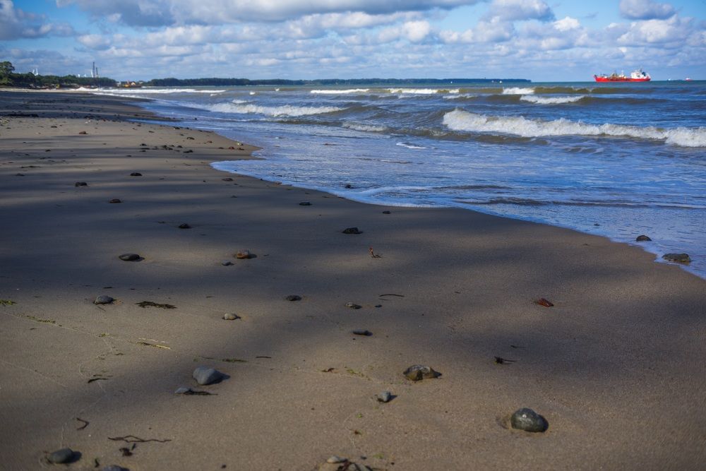 Балтийские тени