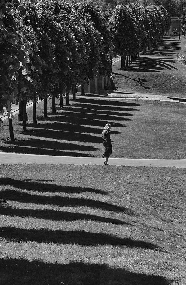 Тенистый парк