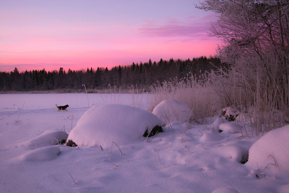 Сибирское утро на Вэллен