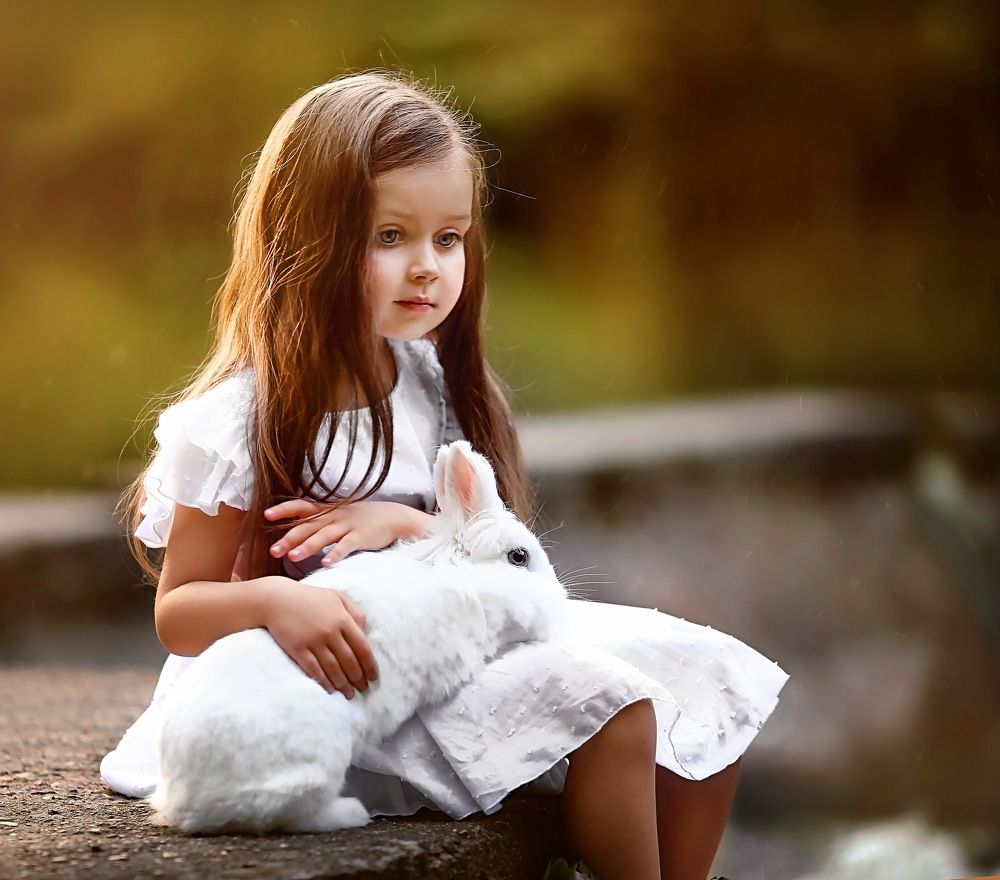 Мечты о белом кролике