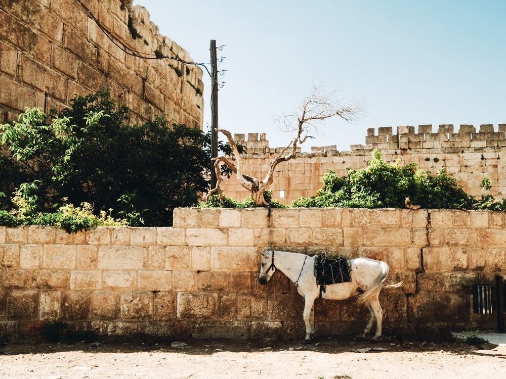 Городская стена