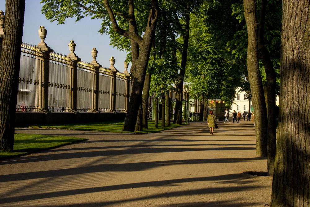 Полосатая аллея