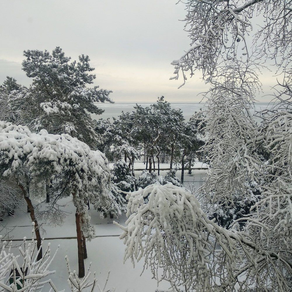 Photograph by Олеся Евсеенко