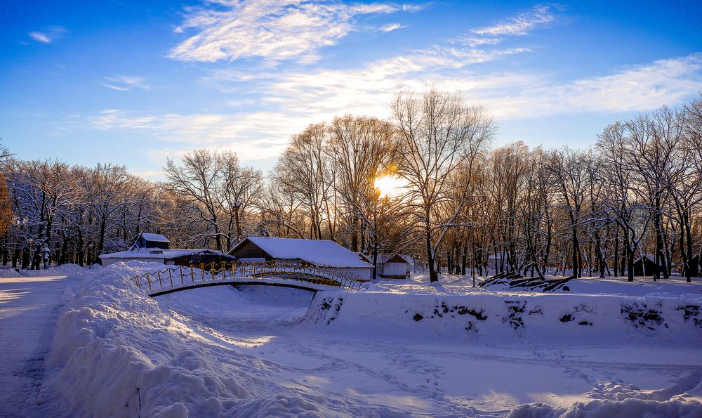 Зимние сумерки в парке