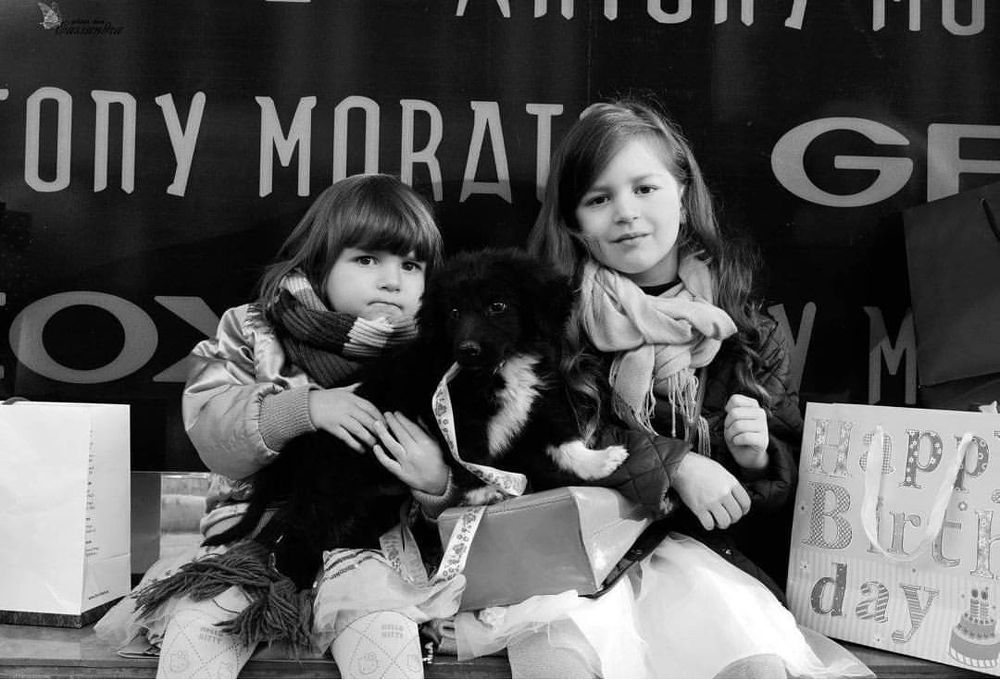 Девочки на шопинге