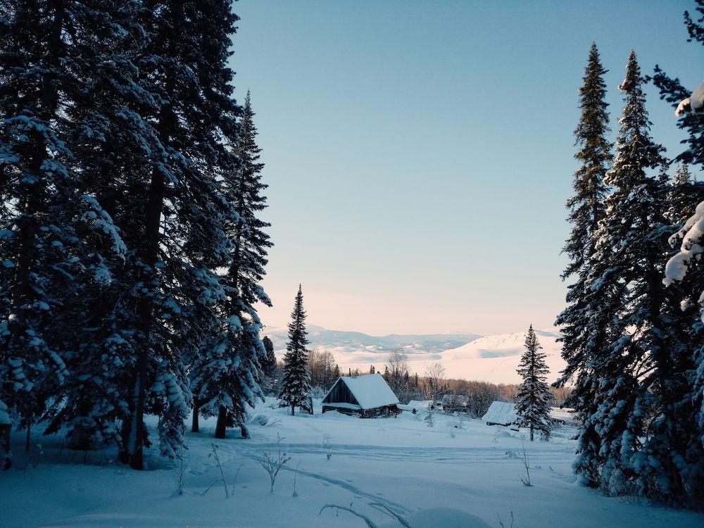 Домик в деревне