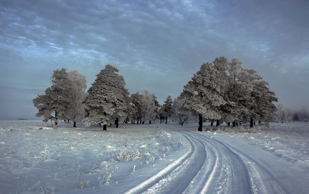 По дороге зимы