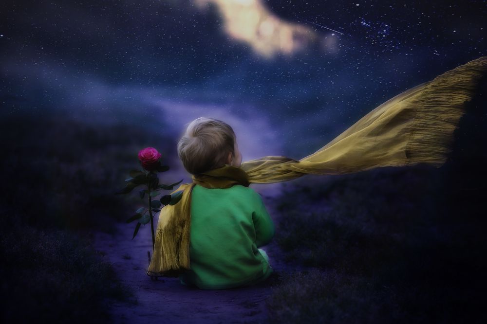 Photograph by Наталья Синицына