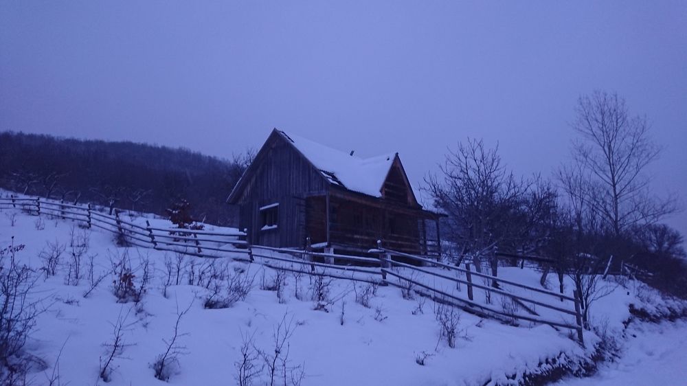Cottage