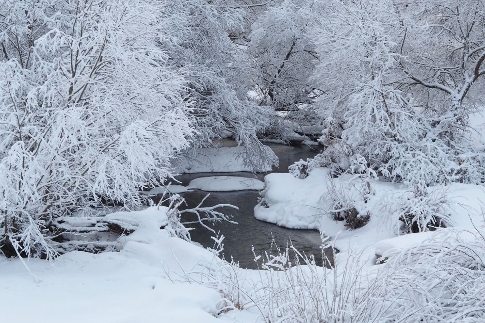 Photograph by Максим Воробьев