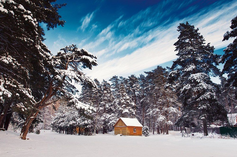 Photograph by Городничева Елена