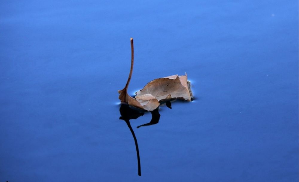 Photograph by omid zarei