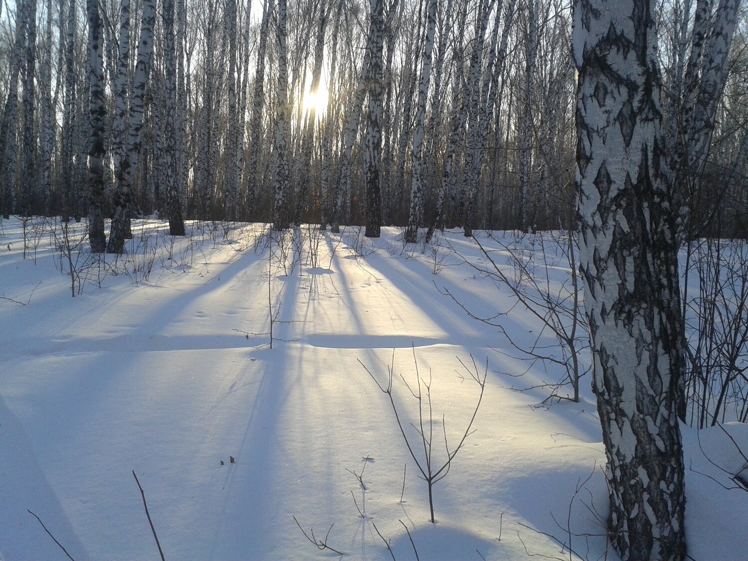 Photo #2885123