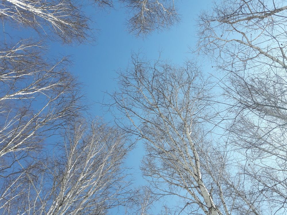Photograph by Виталий Вяткин