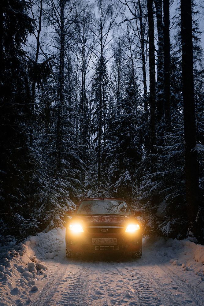 Свет фар в зимнем лесу