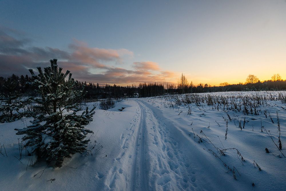 Зимняя дорожка