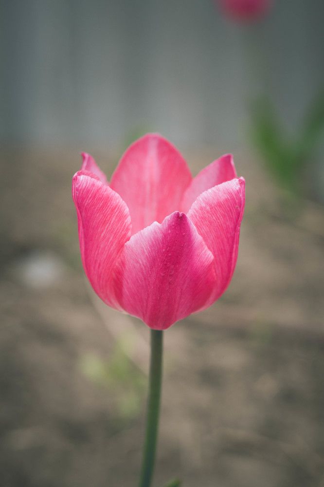 Photograph by Лена Андреева