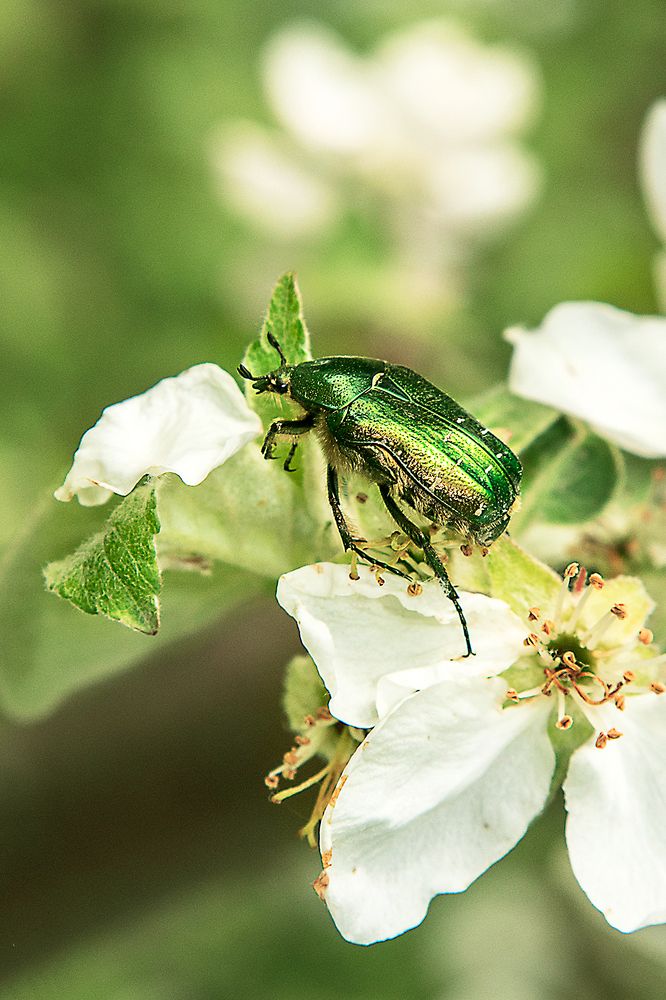 Фотография автора Ekchard Sage