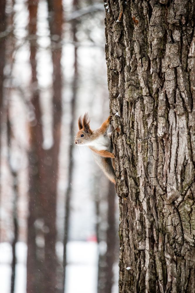 Photograph by Katerina Berezina