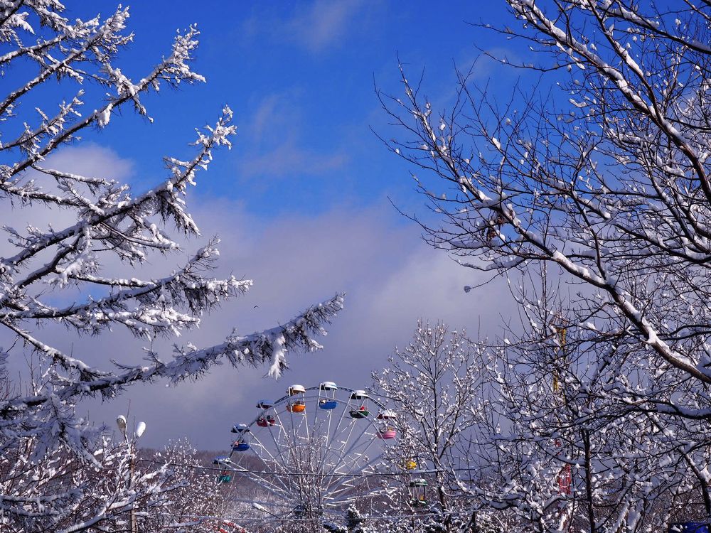 Зимний парк