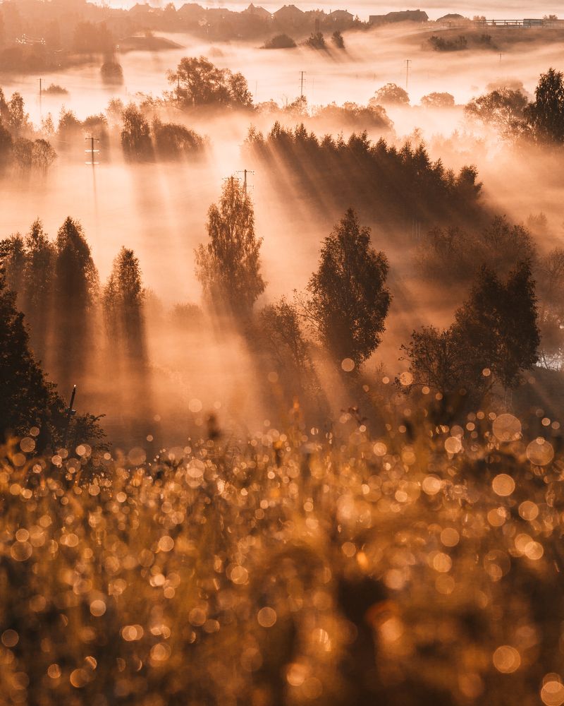 Подмосковный рассвет