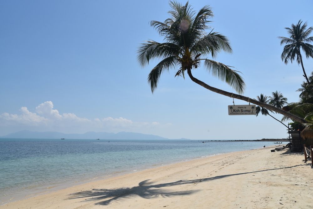 Райская тень