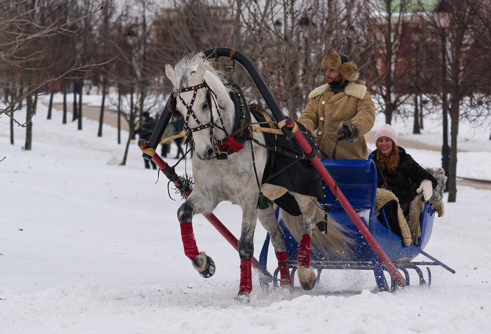 Фотография автора Сергей Басов