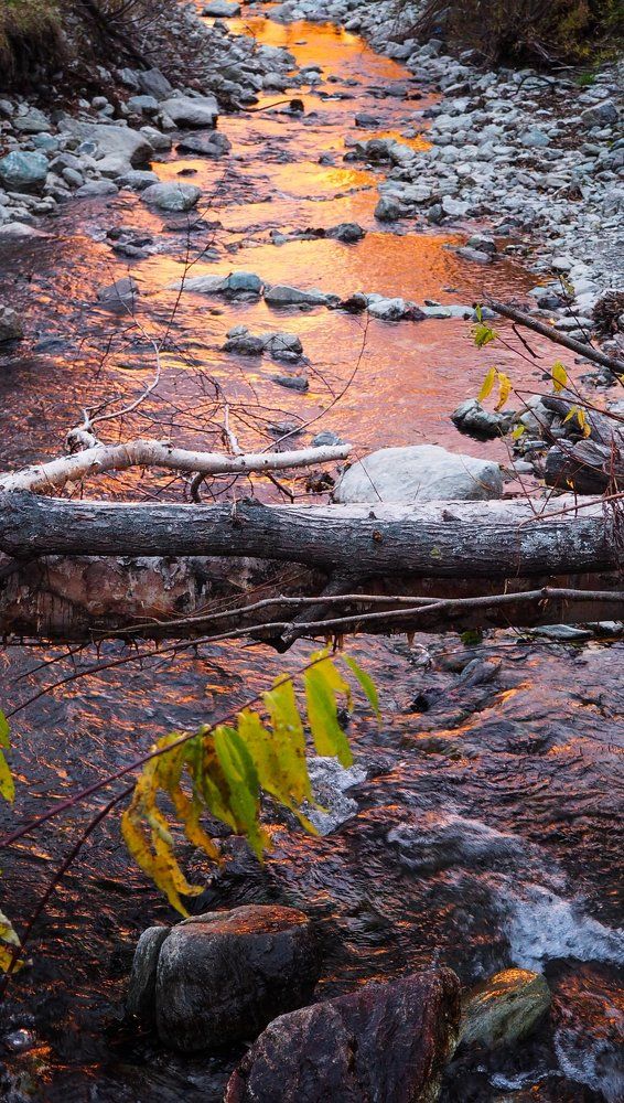 Ручей, полный солнца