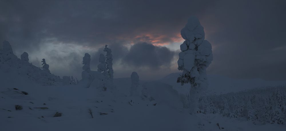 Суровые условия