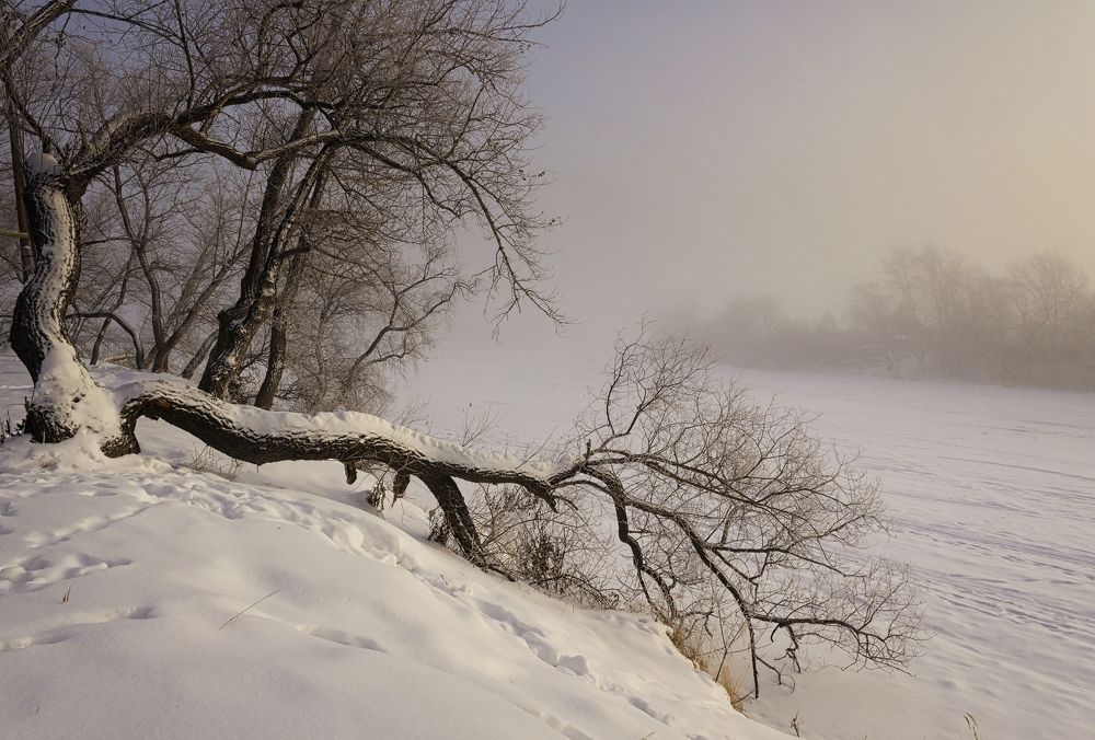 Photograph by Александр Канцур