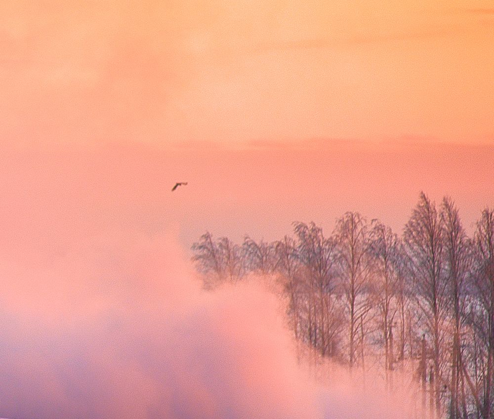 Photograph by Сергей Андреев