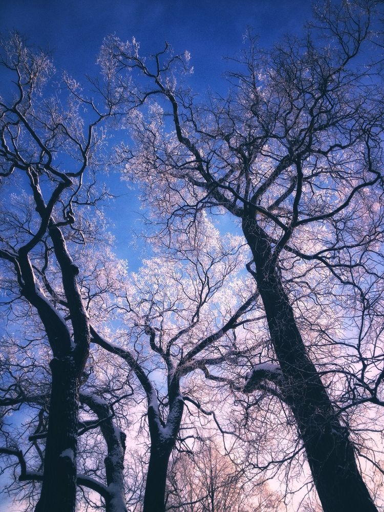 Photograph by София Гаязова