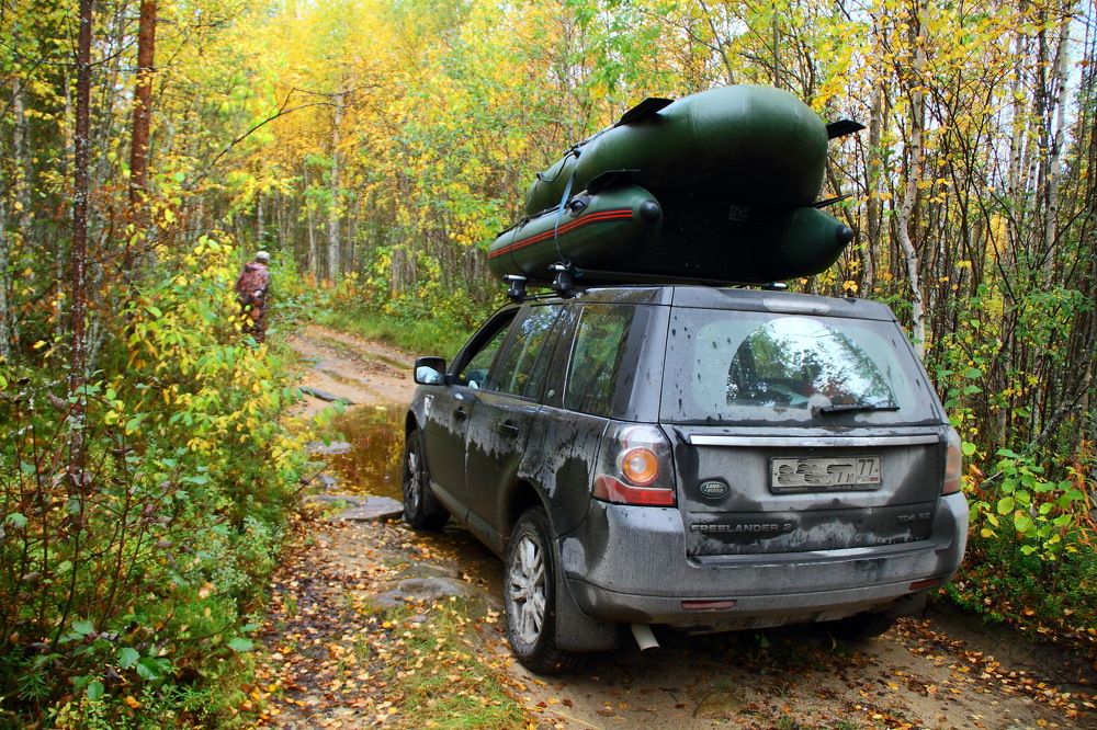 Путешествие по лесу.