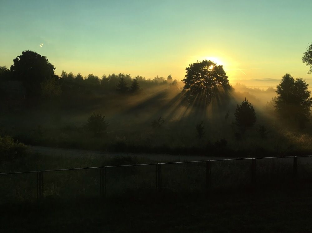 Рассвет на пути в Вильнюс