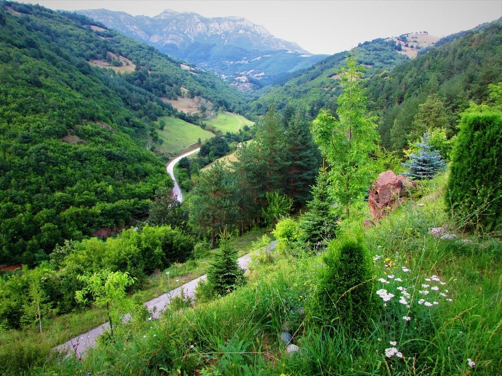 View from the place Diado Yozzo watch!