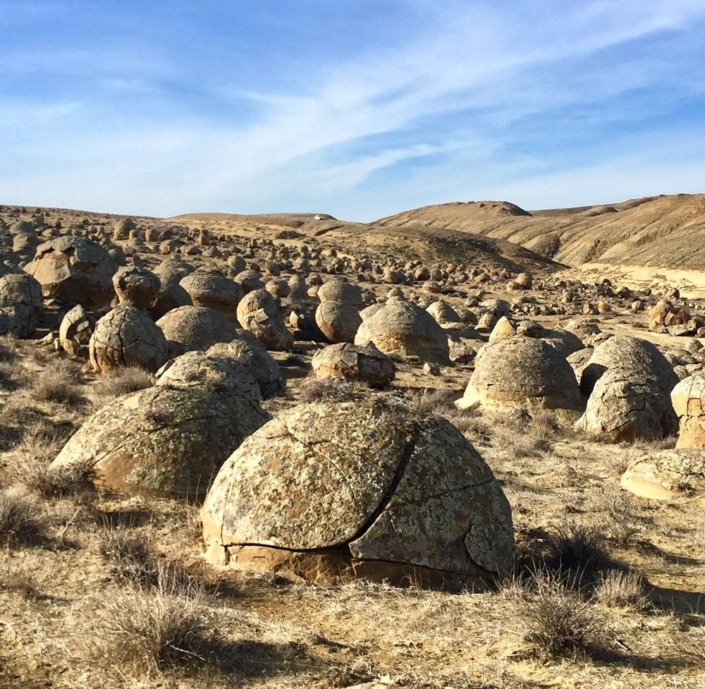 Photograph by Анар Амирова