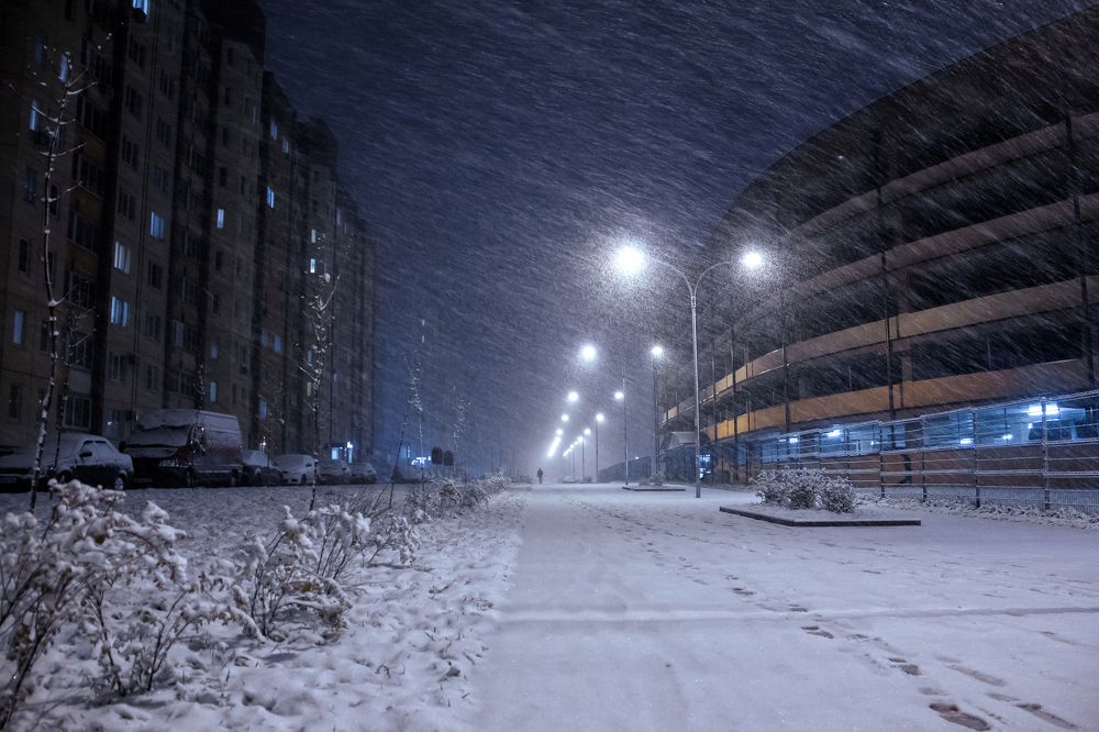 Snowfall in the city