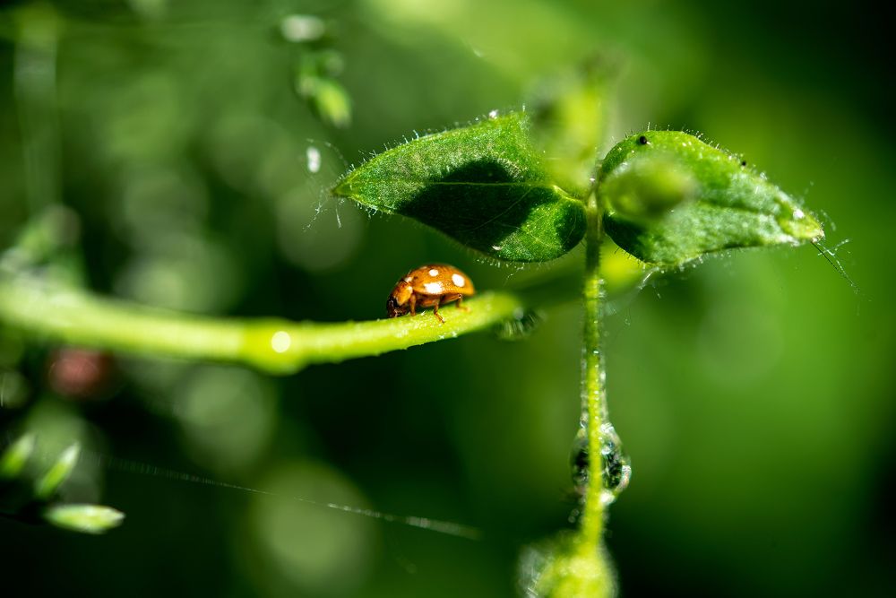 Photograph by Polishchuk Yuliia