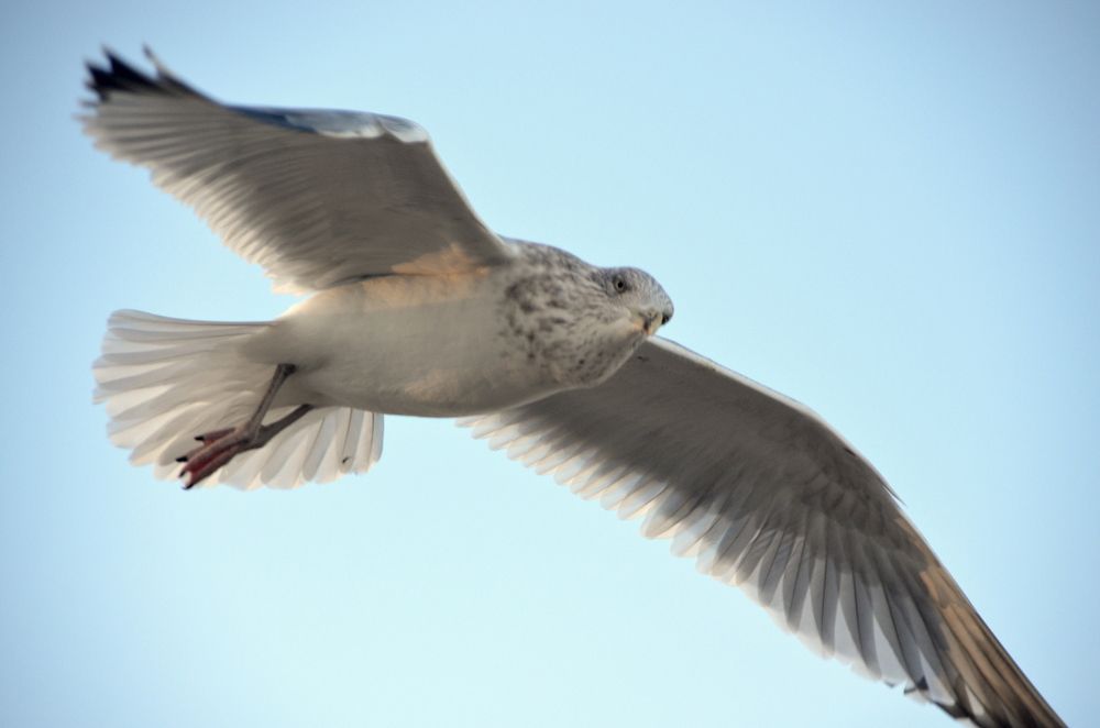 Общение глазами...