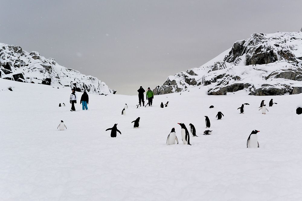 Прогулки по Шестому континенту