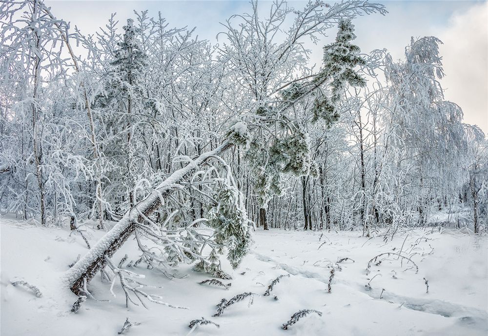Метель прошла.