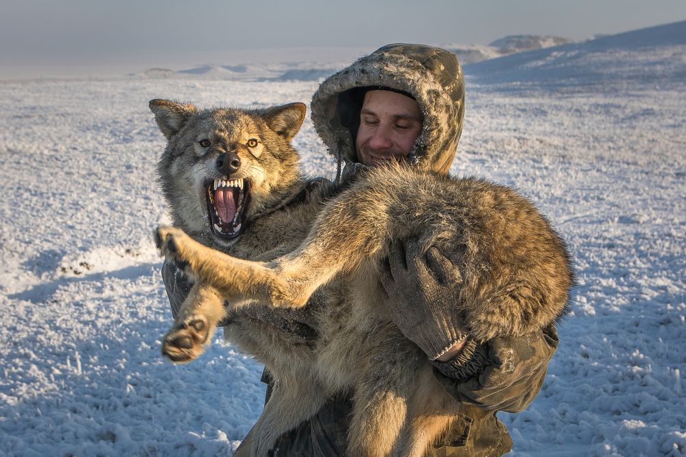 Волк и его хозяин
