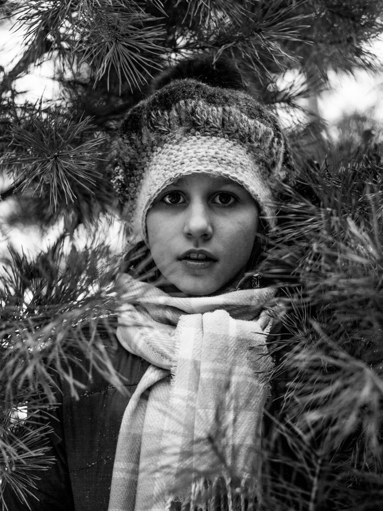 Зимняя сказка