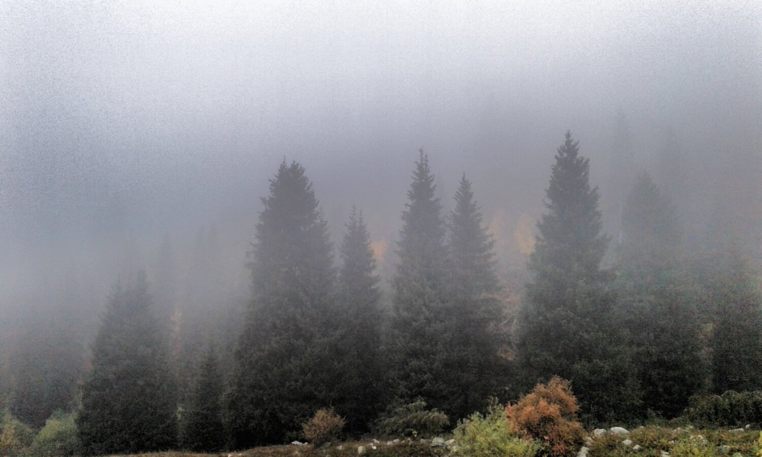 Photo #2886397