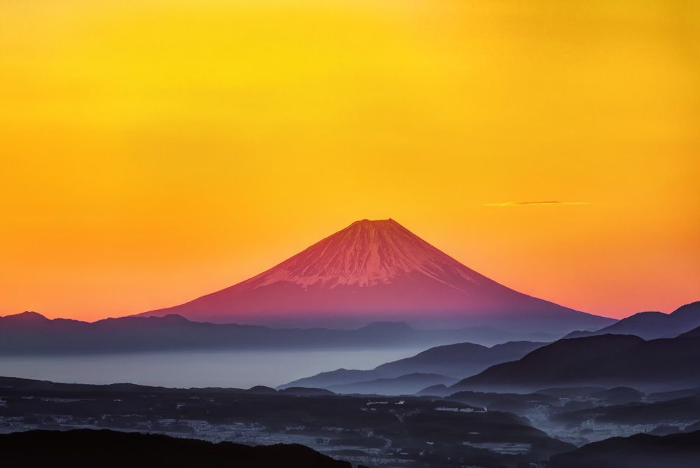 Red fuji